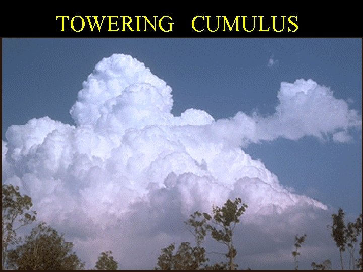 TOWERING CUMULUS 