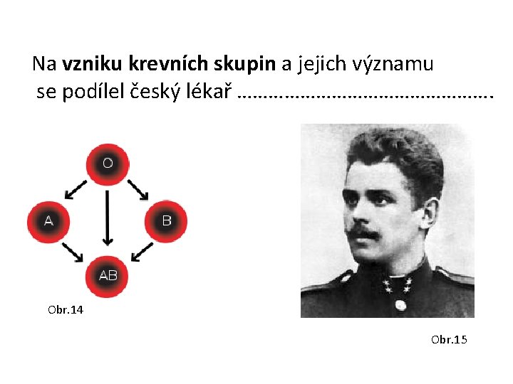 Na vzniku krevních skupin a jejich významu se podílel český lékař ……………………. Obr. 14