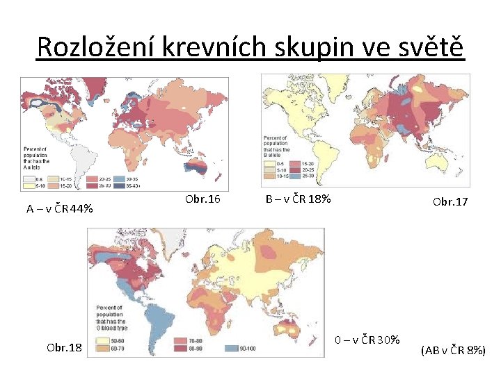 Rozložení krevních skupin ve světě A – v ČR 44% Obr. 18 Obr. 16