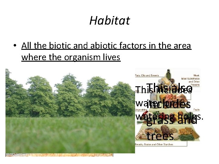 Habitat • All the biotic and abiotic factors in the area where the organism