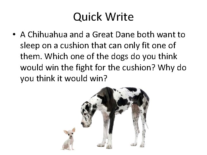 Quick Write • A Chihuahua and a Great Dane both want to sleep on