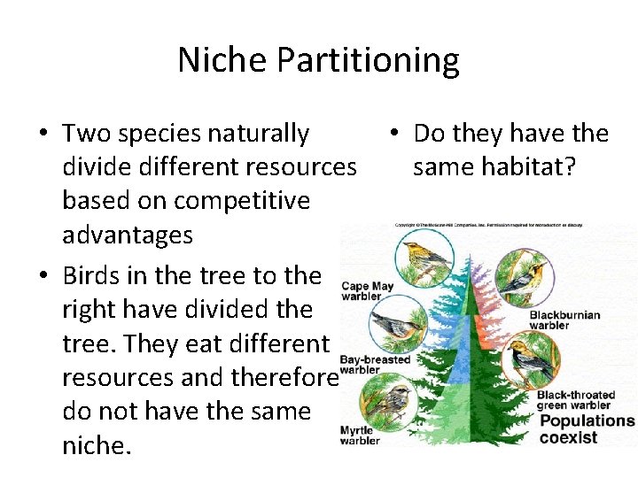 Niche Partitioning • Two species naturally divide different resources based on competitive advantages •