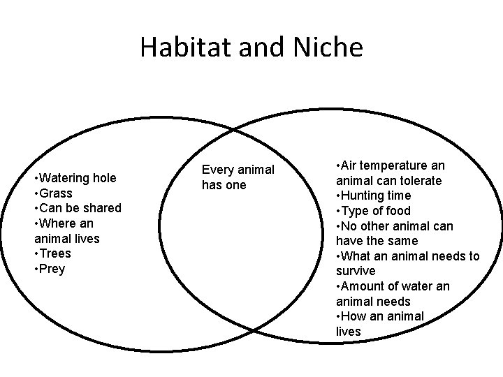 Habitat and Niche • Watering hole • Grass • Can be shared • Where