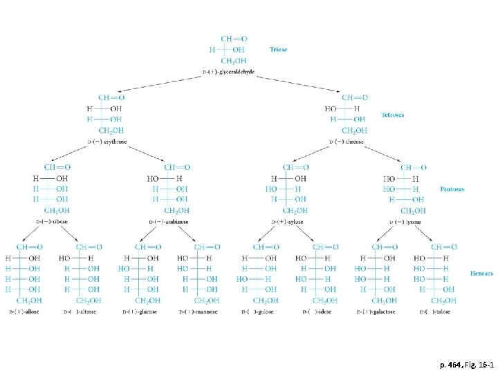 p. 464, Fig. 16 -1 p. 464, Fig. 16 -1
