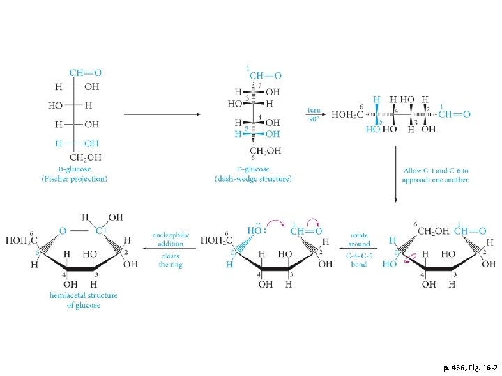 p. 466, Fig. 16 -2 