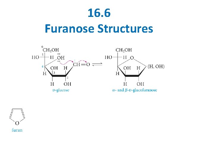 16. 6 Furanose Structures 16. 6 Furanose Structures