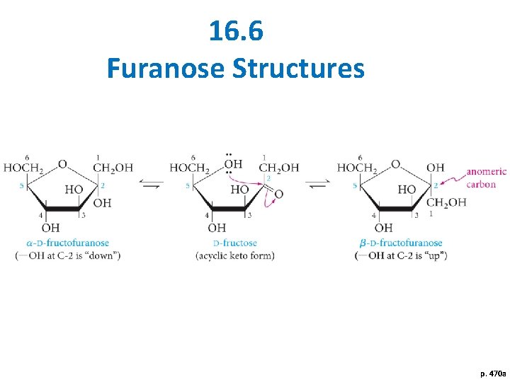 16. 6 Furanose Structures p. 470 a 