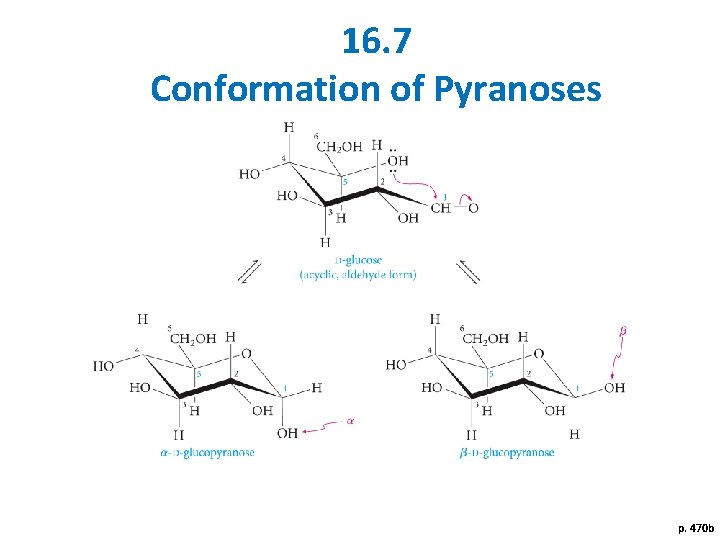 16. 7 Conformation of Pyranoses p. 470 b 