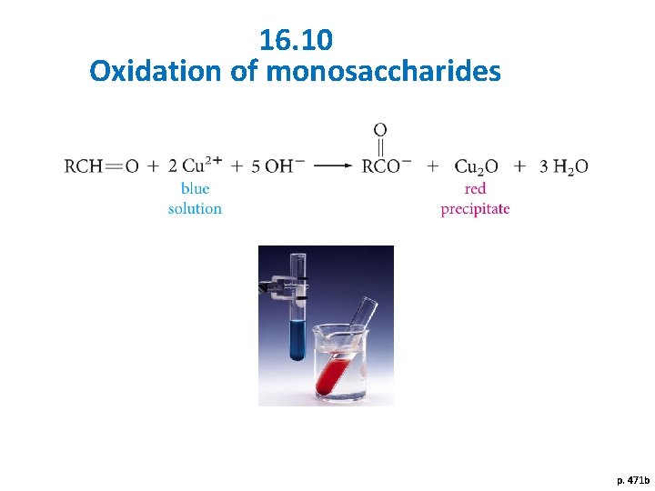 16. 10 Oxidation of monosaccharides p. 471 b 