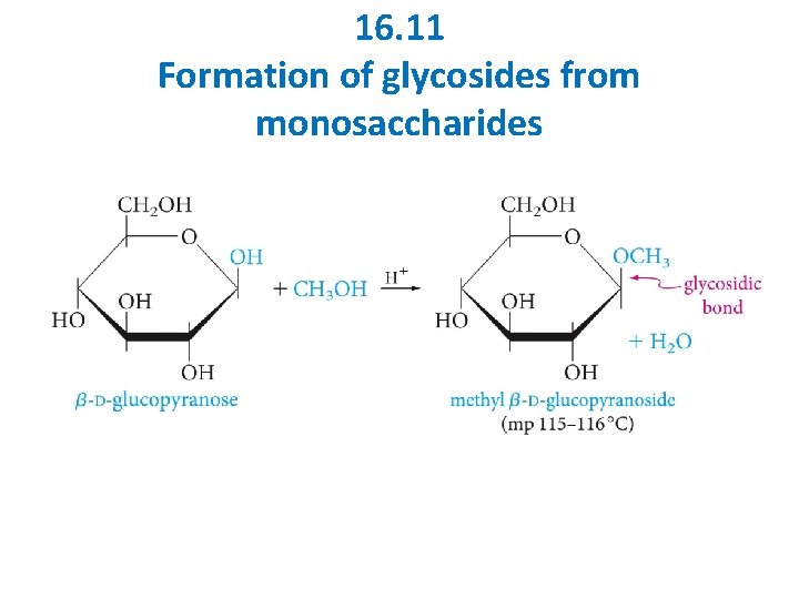 16. 11 Formation of glycosides from monosaccharides 16. 11 Formation of glycosides from monosaccharides