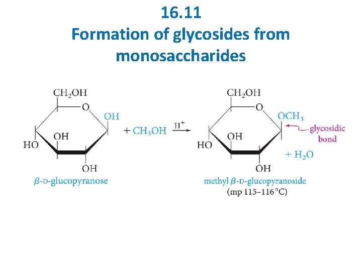 16. 11 Formation of glycosides from monosaccharides 