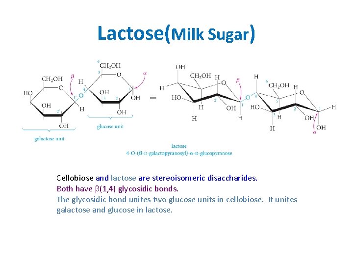 Lactose(Milk Sugar) Cellobiose and lactose are stereoisomeric disaccharides. Both have (1, 4) glycosidic bonds.