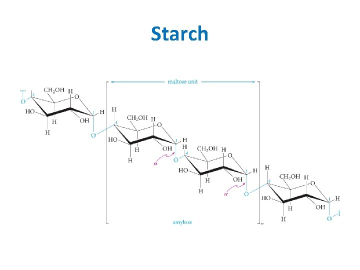 Starch Starch