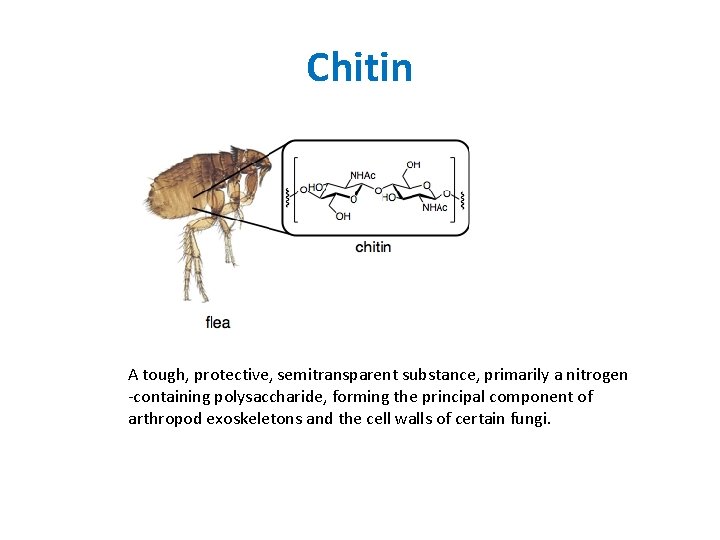 Chitin A tough, protective, semitransparent substance, primarily a nitrogen -containing polysaccharide, forming the principal