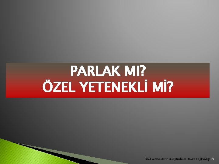 PARLAK MI? ÖZEL YETENEKLİ Mİ? Özel Yeteneklerin Geliştirilmesi Daire Başkanlığı 18 