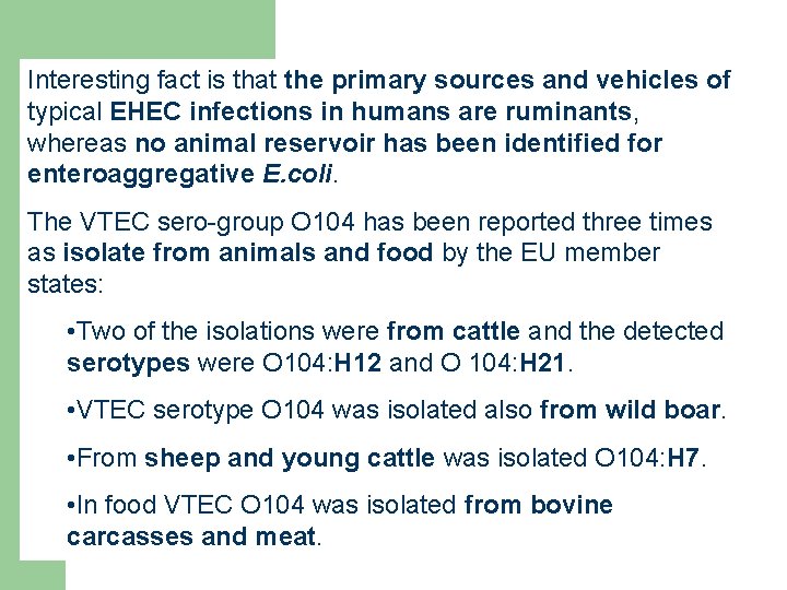 Interesting fact is that the primary sources and vehicles of typical EHEC infections in