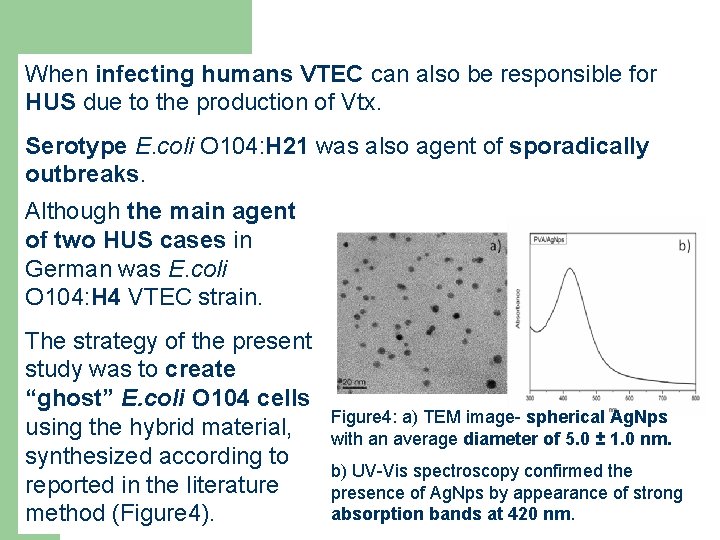 When infecting humans VTEC can also be responsible for HUS due to the production