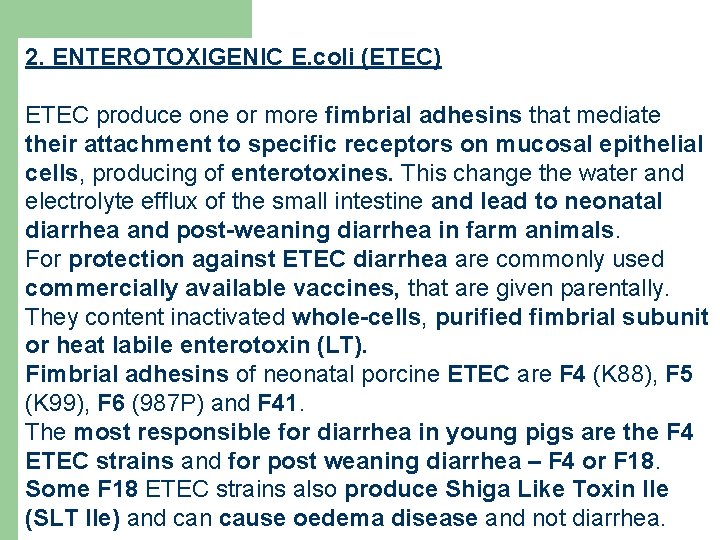 2. ENTEROTOXIGENIC E. coli (ETEC) ETEC produce one or more fimbrial adhesins that mediate
