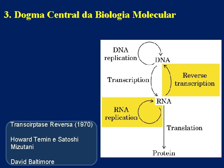 3. Dogma Central da Biologia Molecular Transcirptase Reversa (1970) Howard Temin e Satoshi Mizutani