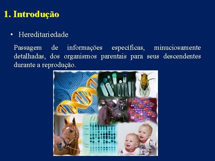 1. Introdução • Hereditariedade Passagem de informações específicas, minuciosamente detalhadas, dos organismos parentais para