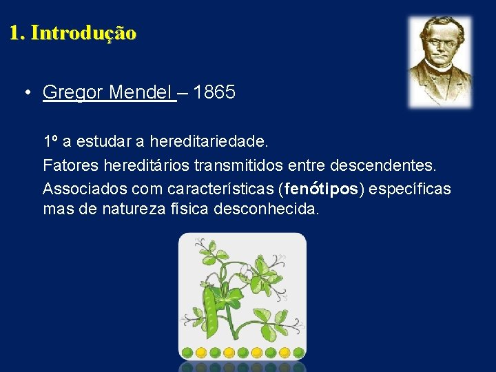 1. Introdução • Gregor Mendel – 1865 1º a estudar a hereditariedade. Fatores hereditários