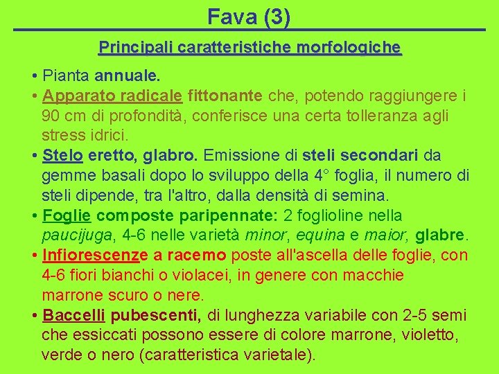 Fava (3) Principali caratteristiche morfologiche • Pianta annuale. • Apparato radicale fittonante che, potendo