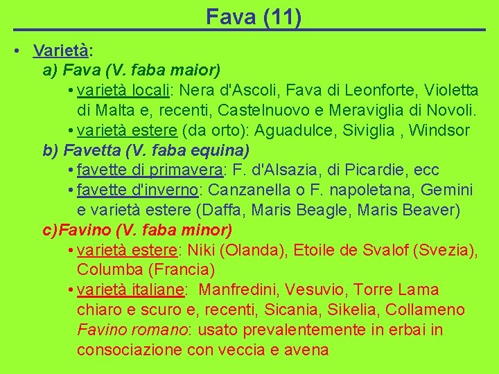 Fava (11) • Varietà: a) Fava (V. faba maior) • varietà locali: Nera d'Ascoli,