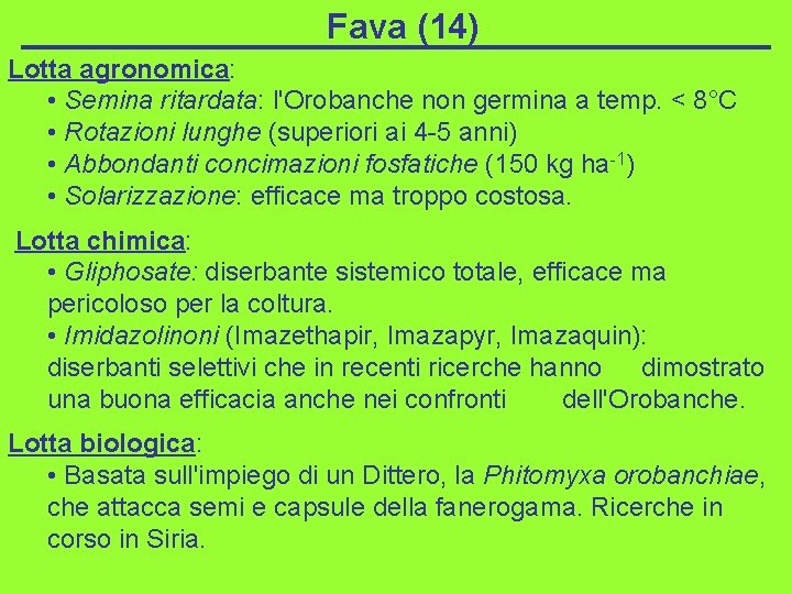 Fava (14) Lotta agronomica: • Semina ritardata: l'Orobanche non germina a temp. < 8°C