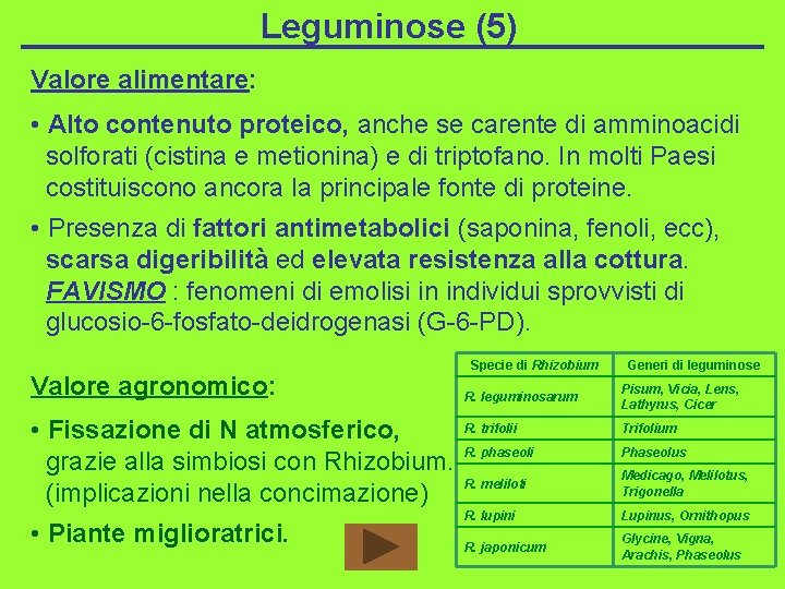 Leguminose (5) Valore alimentare: • Alto contenuto proteico, anche se carente di amminoacidi solforati