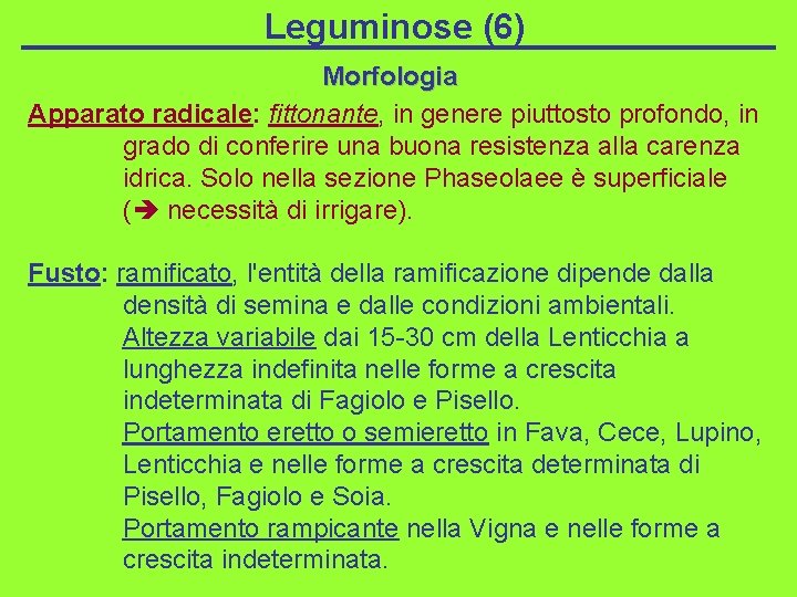 Leguminose (6) Morfologia Apparato radicale: fittonante, in genere piuttosto profondo, in grado di conferire