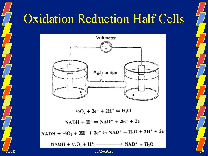 Oxidation Reduction Half Cells W. X. B. 11/26/2020 10 