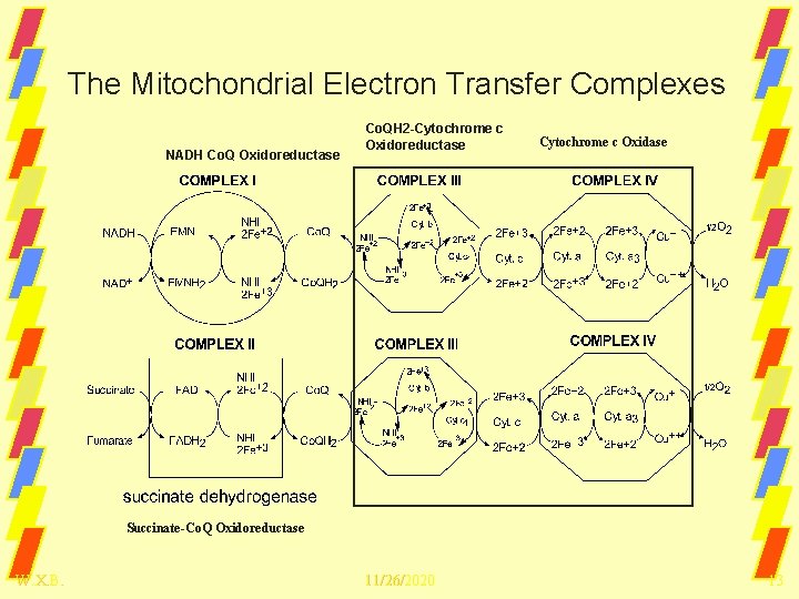 The Mitochondrial Electron Transfer Complexes NADH Co. Q Oxidoreductase Co. QH 2 -Cytochrome c