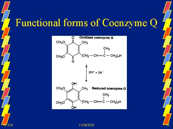 Functional forms of Coenzyme Q W. X. B. 11/26/2020 16 