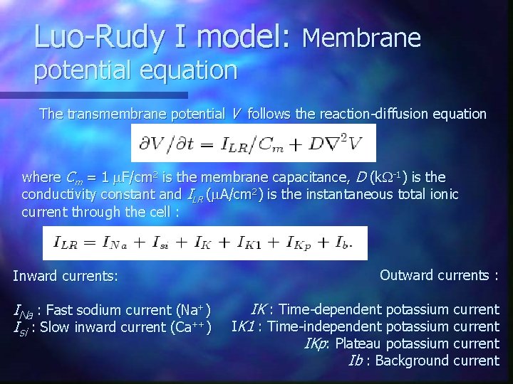 Luo-Rudy I model: Membrane potential equation The transmembrane potential V follows the reaction-diffusion equation