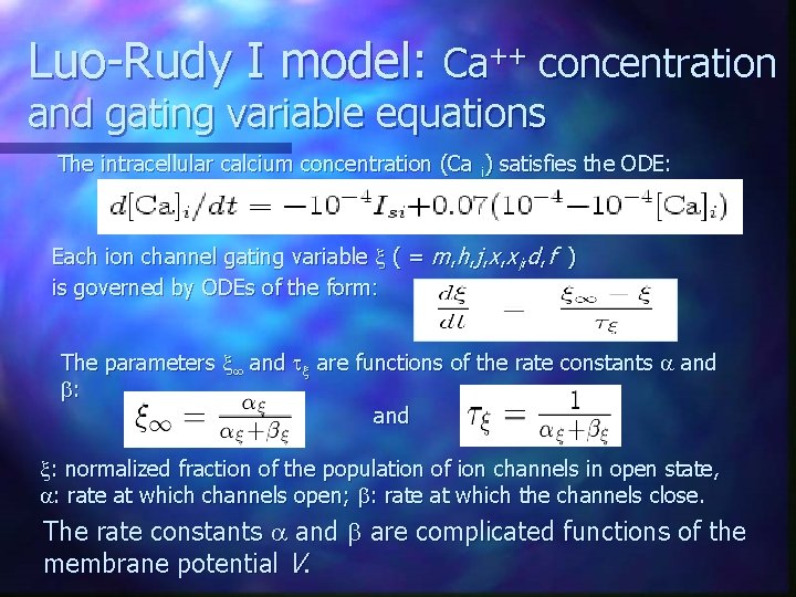 Luo-Rudy I model: Ca++ concentration and gating variable equations The intracellular calcium concentration (Ca