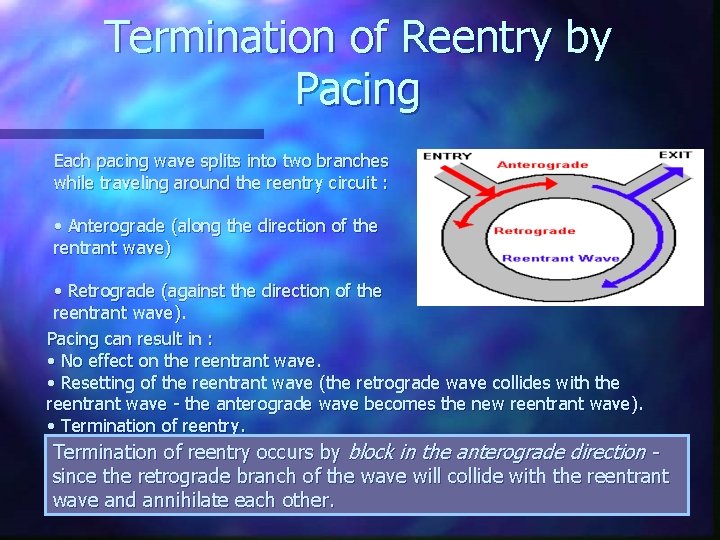 Termination of Reentry by Pacing Each pacing wave splits into two branches while traveling