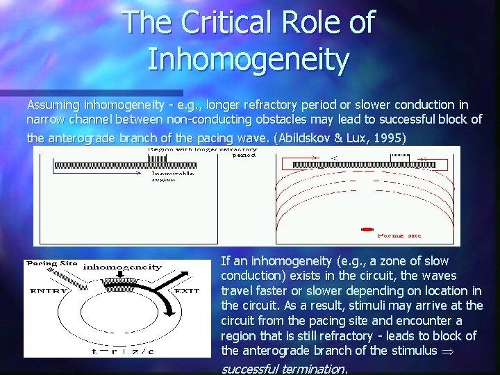 The Critical Role of Inhomogeneity Assuming inhomogeneity - e. g. , longer refractory period