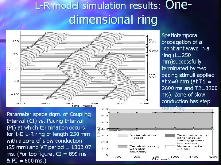 L-R model simulation results: dimensional ring Parameter space dgm. of Coupling Interval (CI) vs.