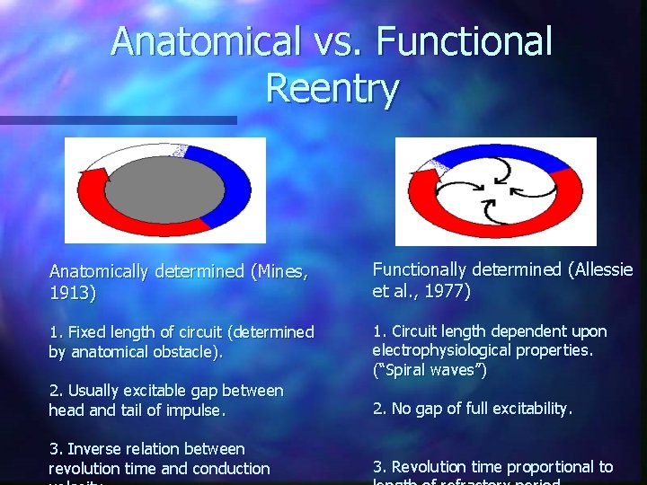 Anatomical vs. Functional Reentry Anatomically determined (Mines, 1913) Functionally determined (Allessie et al. ,