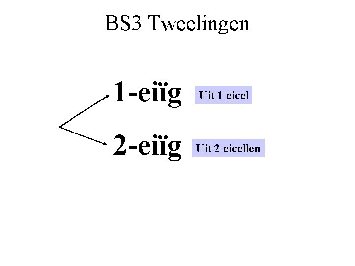 BS 3 Tweelingen 1 -eiïg Uit 1 eicel 2 -eiïg Uit 2 eicellen 