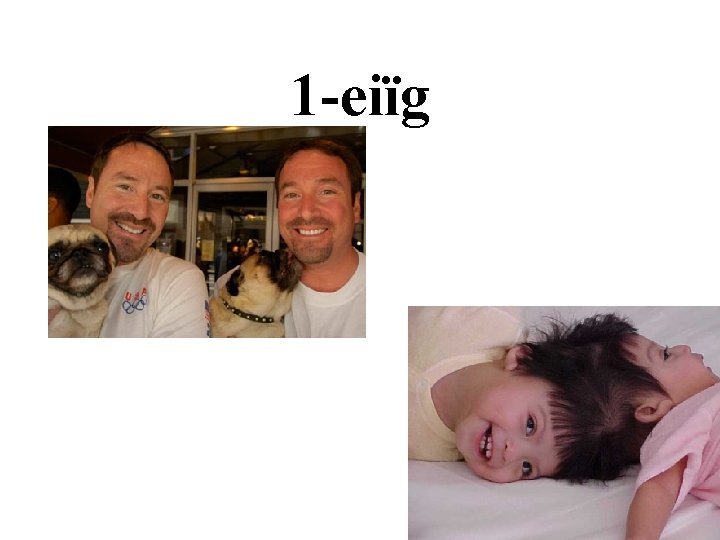 1 -eiïg 