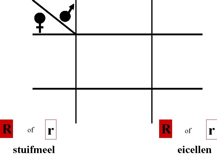 R of r stuifmeel R of r eicellen 