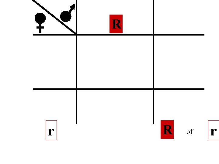 R r R of r 