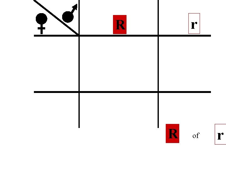 r R R of r 