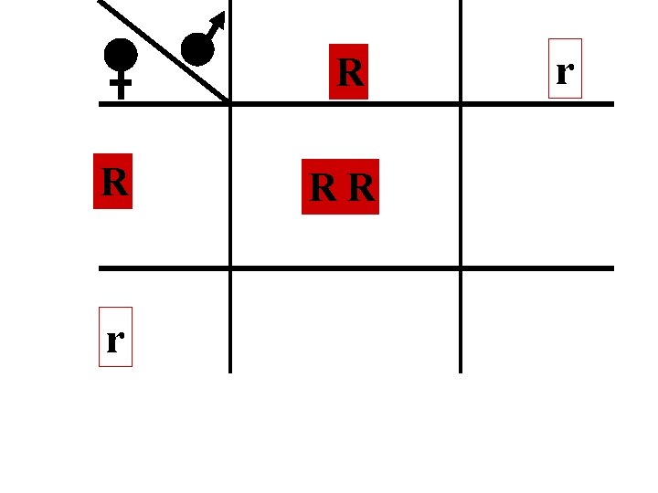 R R r RR r 