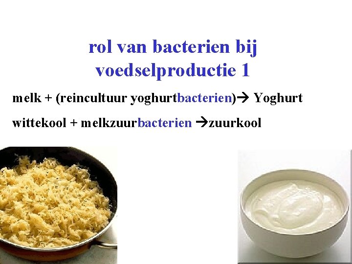 rol van bacterien bij voedselproductie 1 melk + (reincultuur yoghurtbacterien) Yoghurt wittekool + melkzuurbacterien