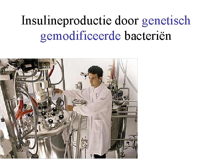 Insulineproductie door genetisch gemodificeerde bacteriën 