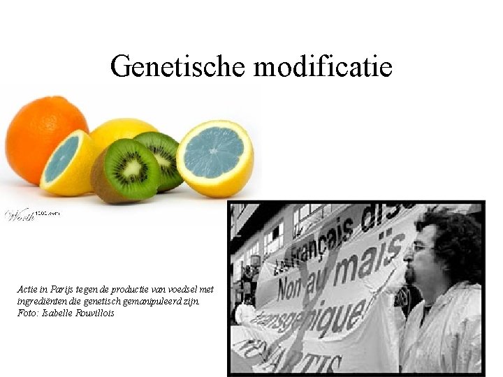 Genetische modificatie Actie in Parijs tegen de productie van voedsel met ingrediënten die genetisch