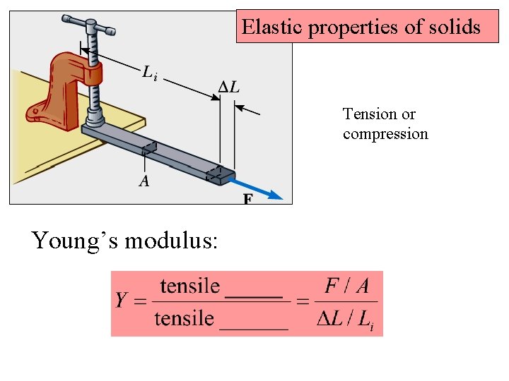Elastic properties of solids Tension or compression Young’s modulus: 