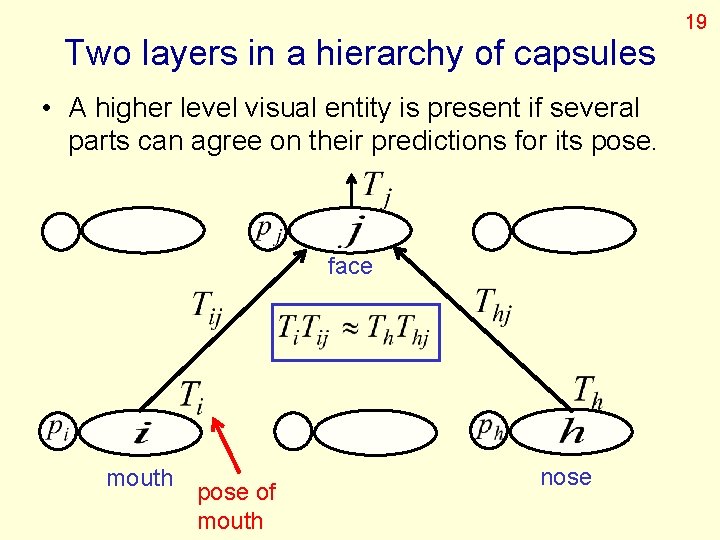 Two layers in a hierarchy of capsules • A higher level visual entity is